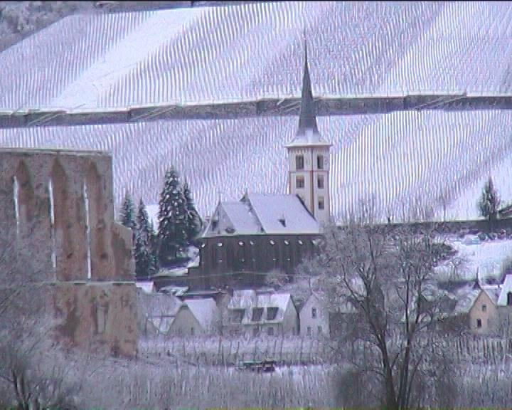 Kleines Winzerhauschen Villa Bremm Cameră foto