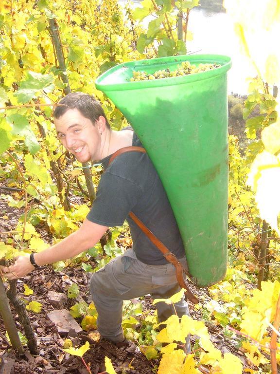Kleines Winzerhauschen Villa Bremm Cameră foto